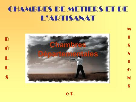 CHAMBRES DE METIERS ET DE LARTISANAT Chambres Départementales RÔLESRÔLES MISSIONSMISSIONS e t.