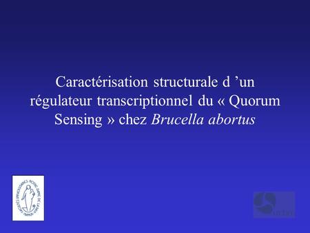 Caractérisation structurale d ’un régulateur transcriptionnel du « Quorum Sensing » chez Brucella abortus.