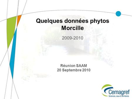 Quelques données phytos Morcille 2009-2010 Réunion SAAM 20 Septembre 2010.
