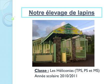 Classe : Les Héliconias (TPS, PS et MS) Année scolaire 2010/2011