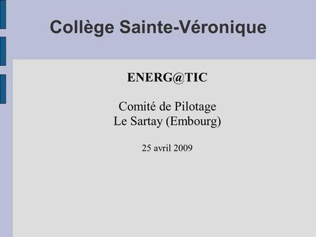 Collège Sainte-Véronique Comité de Pilotage Le Sartay (Embourg) 25 avril 2009.