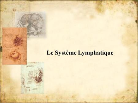 Le Système Lymphatique