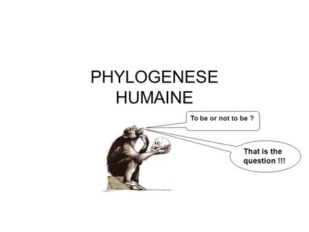 To be or not to be ? That is the question !!! PHYLOGENESE HUMAINE.