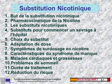 Substitution Nicotinique