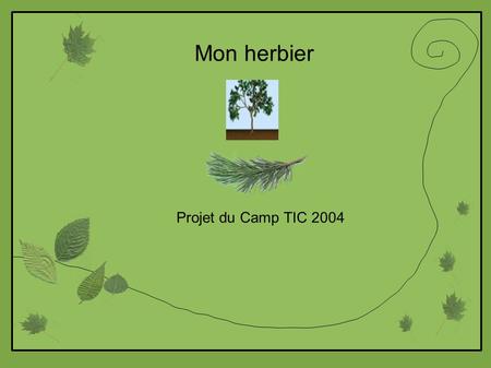Mon herbier Projet du Camp TIC 2004. La feuille et ses caractéristiques Mes contours Ma surface Ma disposition Mes parties Clic sur l'icône de ton choix.