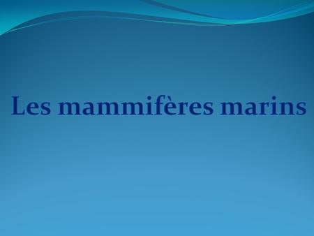 Les mammifères marins.