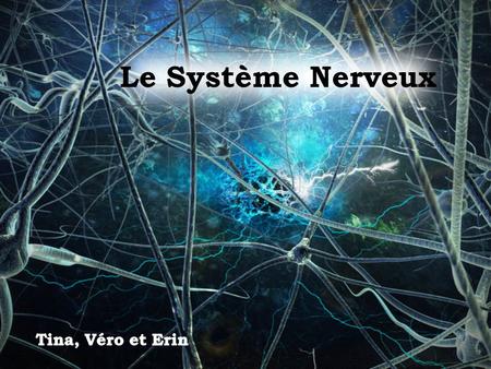 Le Système Nerveux Tina, Véro et Erin.