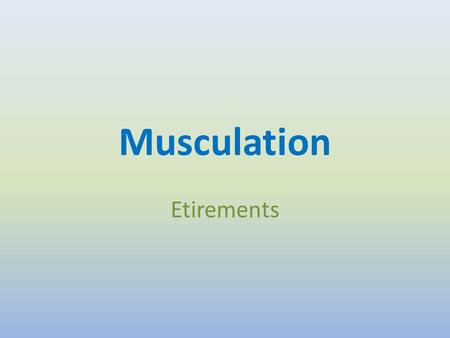Musculation Etirements.