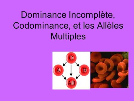 Dominance Incomplète, Codominance, et les Allèles Multiples