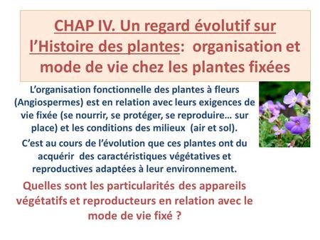 CHAP IV. Un regard évolutif sur l’Histoire des plantes: organisation et mode de vie chez les plantes fixées L’organisation fonctionnelle des plantes à.
