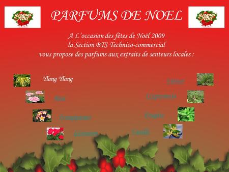 PARFUMS DE NOEL A L’occasion des fêtes de Noël 2009