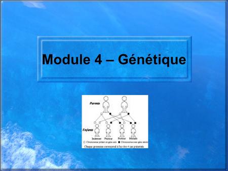 Module 4 – Génétique.