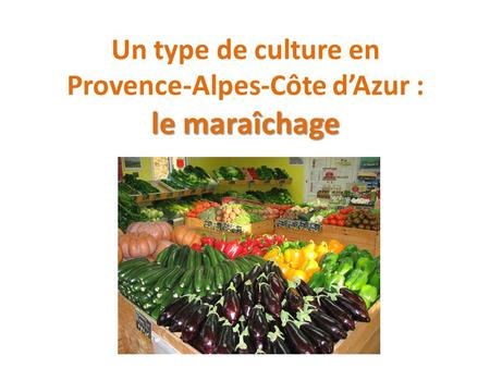 Un type de culture en Provence-Alpes-Côte d’Azur : le maraîchage