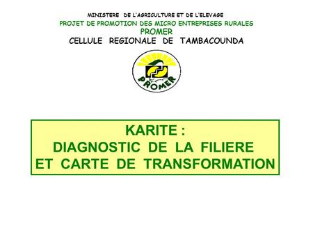 KARITE : DIAGNOSTIC DE LA FILIERE ET CARTE DE TRANSFORMATION