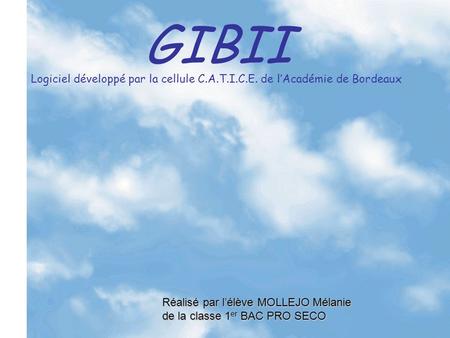 GIBII G estion I nformatisée du B revet I nformatique et I nternet Logiciel développé par la cellule C.A.T.I.C.E. de lAcadémie de Bordeaux Réalisé par.