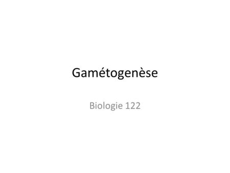 Gamétogenèse Biologie 122.