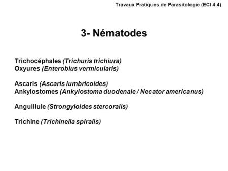 Trichocéphales (Trichuris trichiura) Oxyures (Enterobius vermicularis) Ascaris (Ascaris lumbricoides) Ankylostomes (Ankylostoma duodenale / Necator americanus)