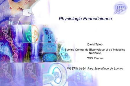 Physiologie Endocrinienne