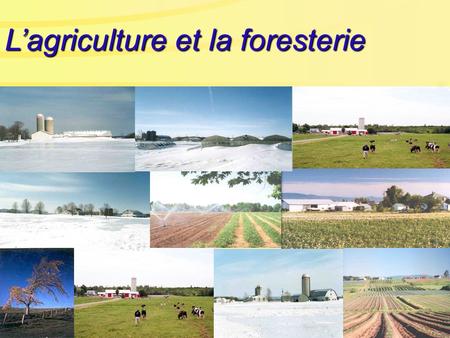 Lagriculture et la foresterie. U ne agriculture essentiellement périurbaine.