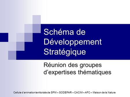 Schéma de Développement Stratégique Réunion des groupes dexpertises thématiques Cellule danimation territoriale de SPM – SODEPAR – CACIM – AFC – Maison.