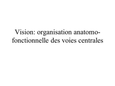 Vision: organisation anatomo-fonctionnelle des voies centrales