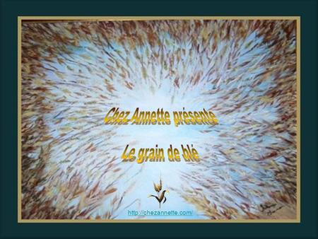 Chez Annette présente Le grain de blé http://chezannette.com/ 1.