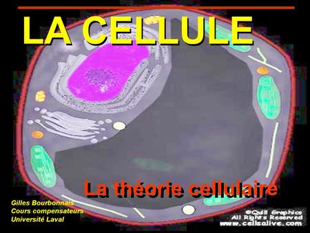 LA CELLULE La théorie cellulaire
