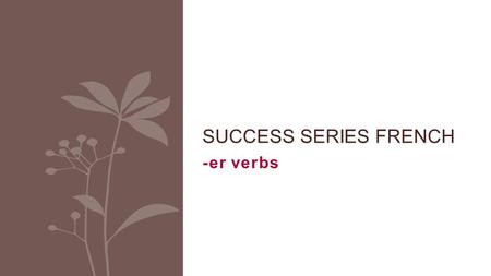 Success Series French -er verbs.