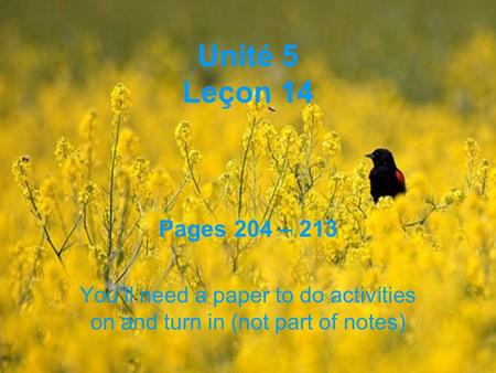 Unité 5 Leçon 14 Pages 204 – 213 Youll need a paper to do activities on and turn in (not part of notes)