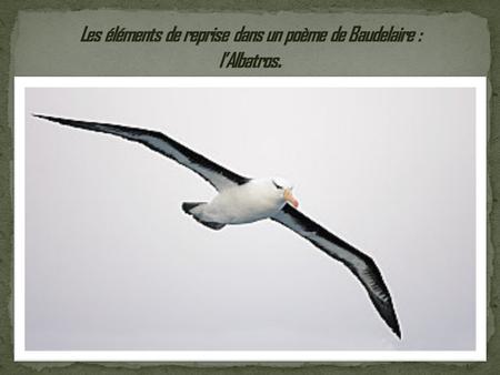 Les éléments de reprise dans un poème de Baudelaire : l’Albatros.