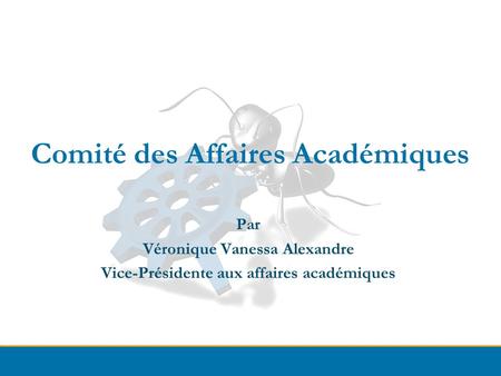 Comité des Affaires Académiques