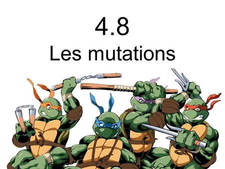 4.8 Les mutations.