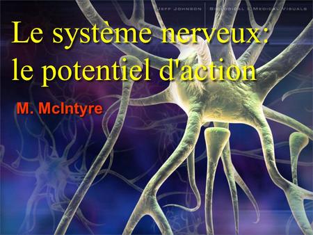 Le système nerveux: le potentiel d'action