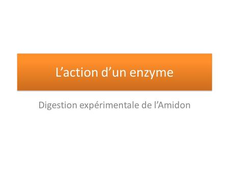 Digestion expérimentale de l’Amidon