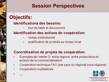 Session Perspectives Objectifs: Identifications des besoins: tour de table et discussions Identification des actions de coopération: niveau institutionnel.