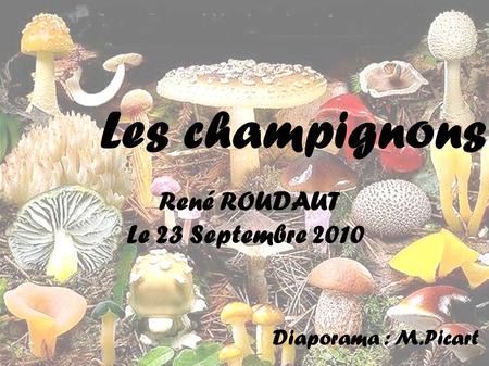 Les champignons René ROUDAUT Le 23 Septembre 2010 Diaporama : M.Picart.