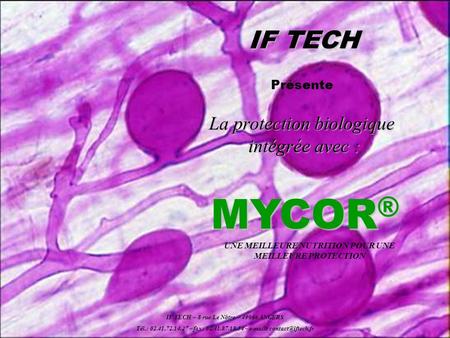 MYCOR® IF TECH La protection biologique intégrée avec : Présente
