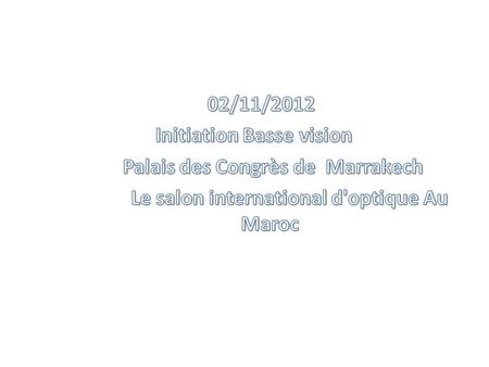 Initiation Basse vision Palais des Congrès de Marrakech