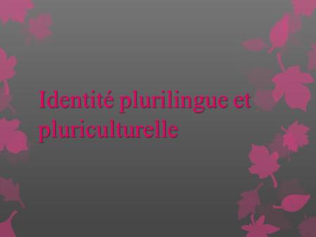 Identité plurilingue et pluriculturelle