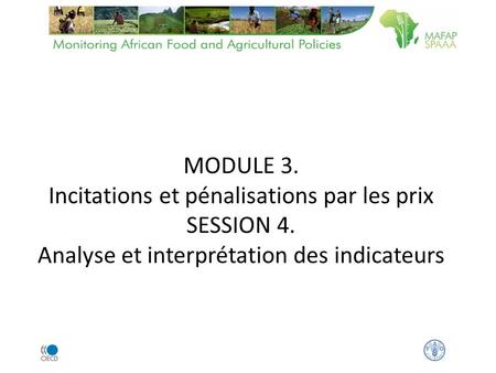 MODULE 3. Incitations et pénalisations par les prix SESSION 4. Analyse et interprétation des indicateurs.