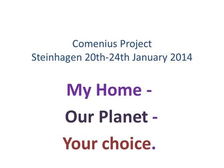 Comenius Project Steinhagen 20th-24th January 2014 My Home - Our Planet - Your choice.