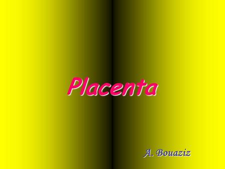 Placenta A. Bouaziz.