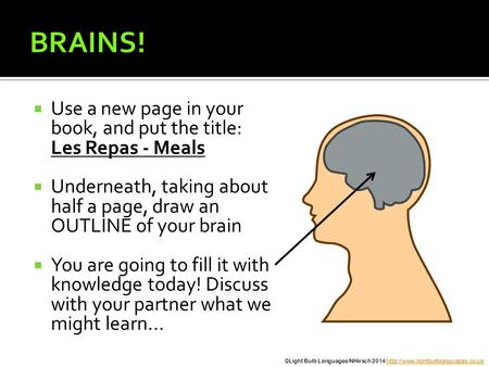 BRAINS! Use a new page in your book, and put the title: Les Repas - Meals Underneath, taking about half a page, draw an OUTLINE of your brain You are.