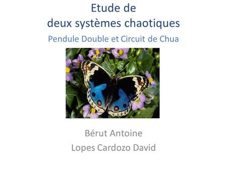 Etude de deux systèmes chaotiques