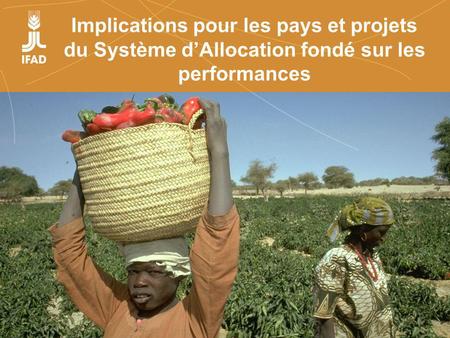 Farmers organizations, policies and markets Implications pour les pays et projets du Système dAllocation fondé sur les performances.