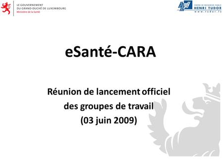 Réunion de lancement officiel des groupes de travail (03 juin 2009)