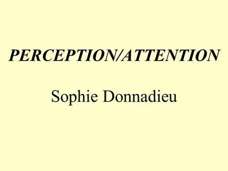 PERCEPTION/ATTENTION Sophie Donnadieu