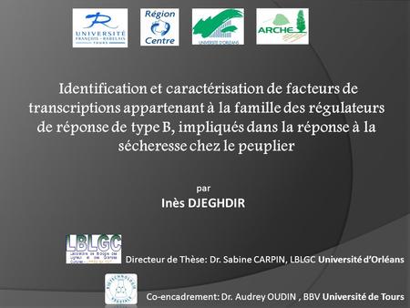 Identification et caractérisation de facteurs de transcriptions appartenant à la famille des régulateurs de réponse de type B, impliqués dans la réponse.