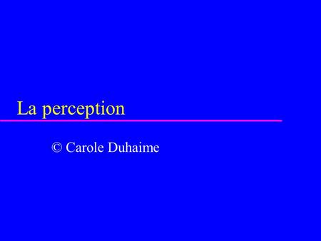 La perception © Carole Duhaime.