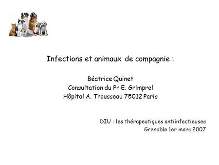 Infections et animaux de compagnie :